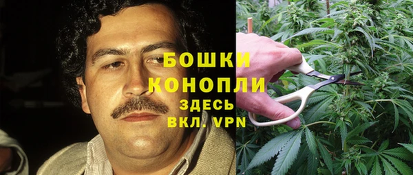 первитин Абинск